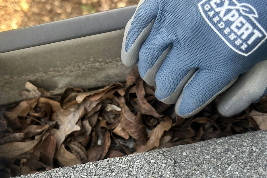 Gutter Cleaning Warrior