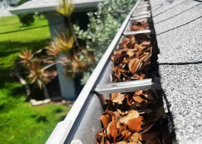 Gutter Cleaning Warrior home page